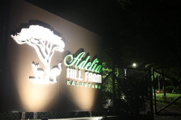 #MenarikDiHuluSelangor – Adelia Hill Farm Kalumpang