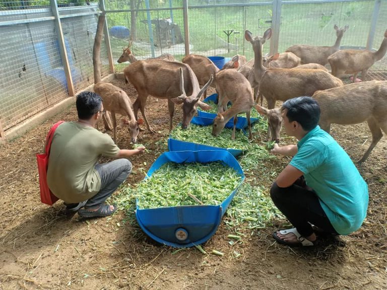 #MenarikDiSabakBernam – Sekinchan Agro Farm, Kg Baru Sentosa