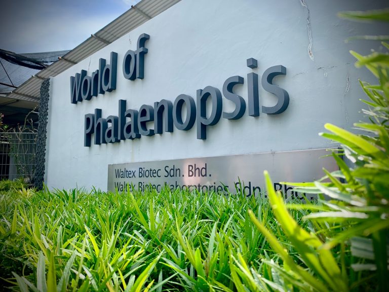 #MenarikDiHuluSelangor – World Of Phalaenopsis Ulu Yam Baru