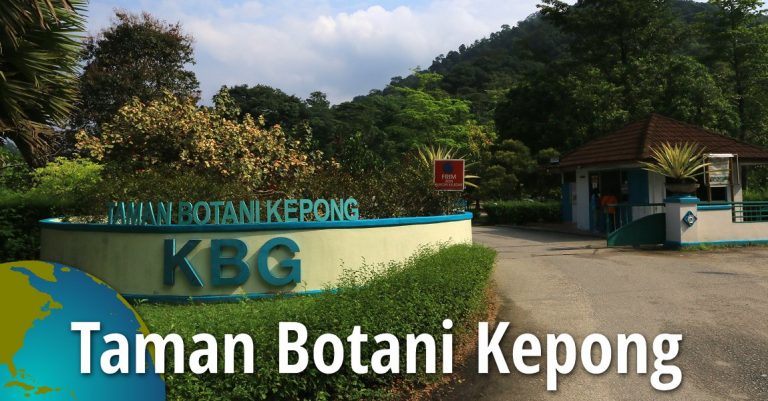 #MenarikDiGombak – Taman Botani Kepong