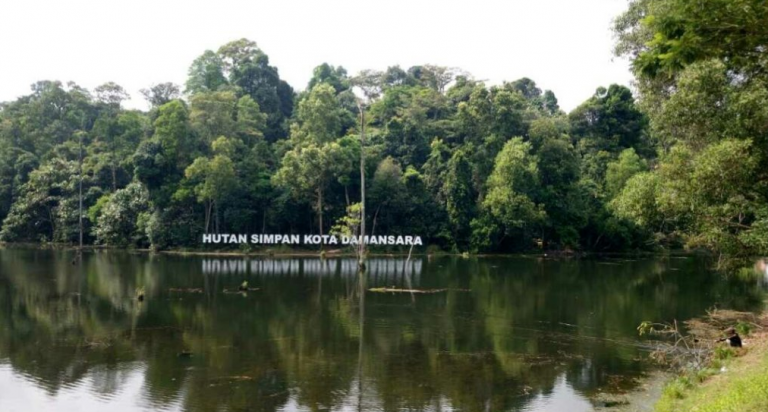 #MenarikDiPetaling – Hutan Simpan Kota Damansara