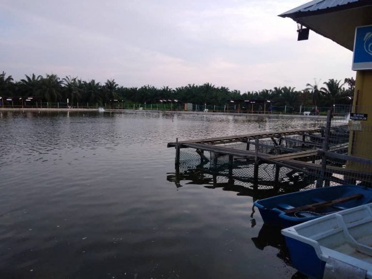 #MenarikDiSabakBernam – Kolam Pancing Sungai Nibong