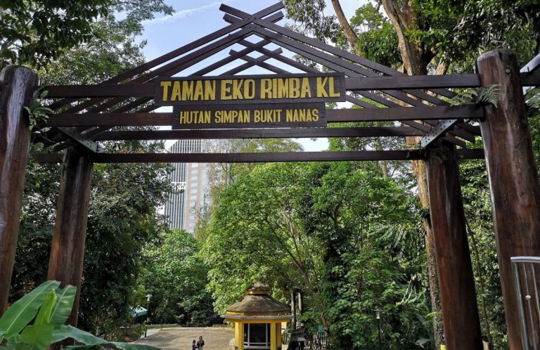 #MenarikDiKualaLumpur – KL Forest Eco Park