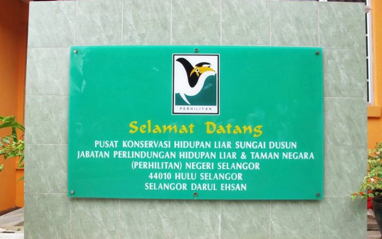 #MenarikDiHuluSelangor- Rezab Hidupan Liar Sungai Dusun, Selangor