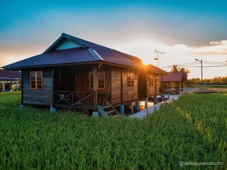 #MenarikDiSabakBernam – Rumah Persinggahan Ala Jawa Di Sawah Padi