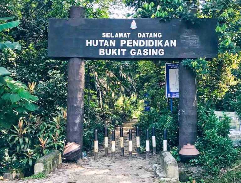 #MenarikDiPetaling – Hutan Pendidikan Bukit Gasing